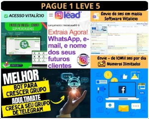 Pacote Fênix Digital 5 Ferramentas pague 1 - Outros