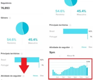 Pacote engajamento TikTok - Outros