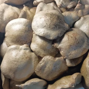 Pacote com 7 Frutos Secos Fechados de Jacarandá - Artesanato e Personalizados