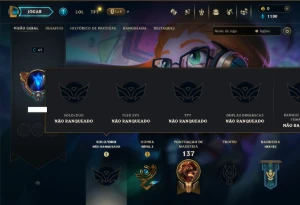 Unranked com 45 Champs e 13 Skins - League of Legends LOL