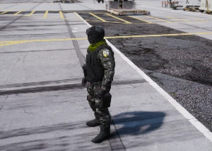 Farda COMANDOS-FE Exército Brasileiro Grand Theft Auto V - Outros