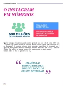Instagram Sem Segredos - Redes Sociais
