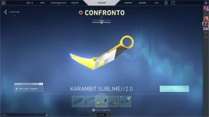 Conta de VALORANT +950 reais gastos! RGX Butterfly!