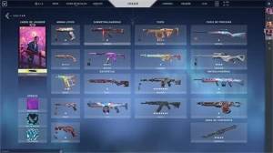 Conta de VALORANT +950 reais gastos! RGX Butterfly!