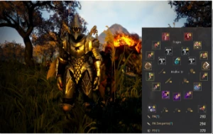 Conta BDO - Com email - 664GS - 293 PA / 370 DP - Black Desert