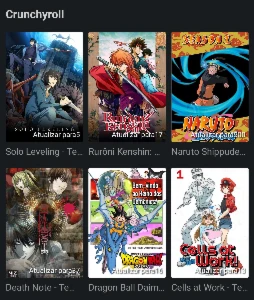 Netflix+Crunchyroll+HBO+Prime vídeo e outros - Softwares e Licenças
