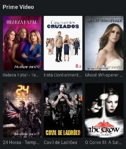 Netflix+Crunchyroll+HBO+Prime vídeo e outros - Softwares e Licenças