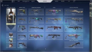 Conta valorant com muitas skins e tem skin no lol