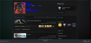 Conta csgo com 3 medalhas + 500 adesivos no inventario - Counter Strike