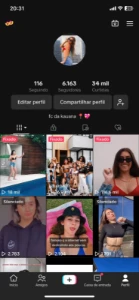 Conta Tiktok Antiga 6K Seguidores (User Unico) - Outros