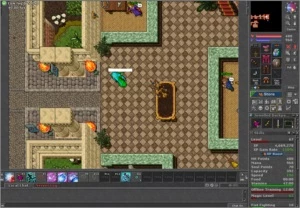 Sorcerer Ferobra - Tibia
