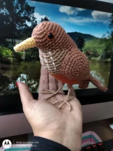 Amigurumi Sabiá - Artesanato e Personalizados