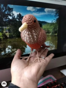 Amigurumi Sabiá - Artesanato e Personalizados