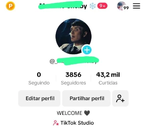 Conta Tiktok Com 3K De Seguidores - Outros