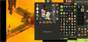 Vendo conta lvl 200 com itens e kamas - Dofus
