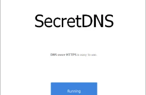 SecretDNS 3.6.1 - Others