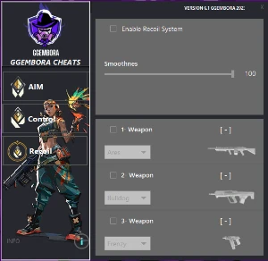 Valorant Aim Assist Br (Atualizado) 1 DIA 20R$