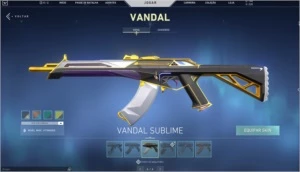 CONTA VALORANT BETA C/ TODOS OS PASSES FULL + SKINS LOJA