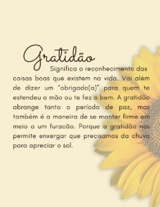 Diário da Gratidão - eBooks