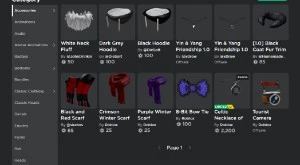 CONTA PESSOAL DO ROBLOX