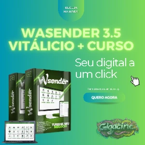 Wasender + Gerador De Licenças - Versão 3.5 - 2024 - Others