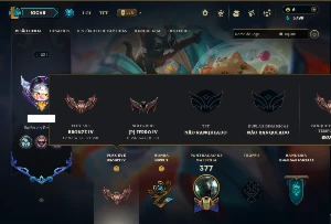 Ferro 4 com TODOS os Champs e 107 Skins - League of Legends LOL