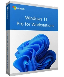 Windows 11 Pro For Workstations Licença Chave