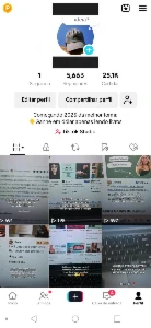 [Promoção] Conta Tiktok Com 5,6K Link Da Bio + Live - Social Media