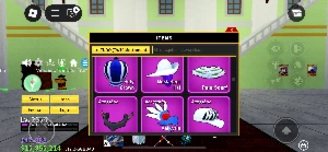Conta de Blox Fruits - Roblox