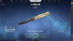 Conta de valorant muitas skins