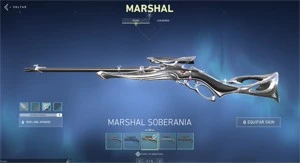 Conta Valorant (com skins)