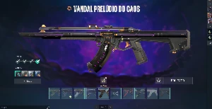 Vendo conta valorant, ex radiante faca champions 2021