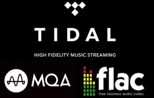 Tidal Hifi Plus | 30 Dias | Em Seu E-Mail - Assinaturas e Premium