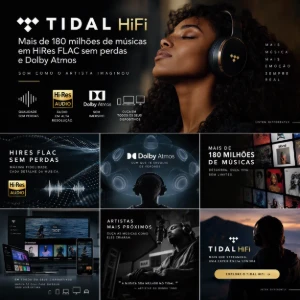 Tidal Hifi Plus | 30 Dias | Em Seu E-Mail - Assinaturas e Premium