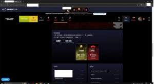 Conta Prime Cs2 3Kh Saldo, Skins, 20Gc, 10Faceit 16Kpontos - Steam