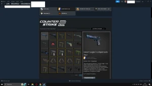 Conta Prime Cs2 3Kh Saldo, Skins, 20Gc, 10Faceit 16Kpontos - Steam