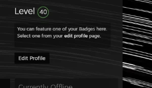 Conta Csgo Com Prime Lvl40 Steam Lvl20gc - Counter Strike