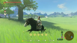 Conta Nintendo 12 jogos — Zelda, Monster Hunter e outros