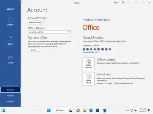 Windows 11 Pro 22H2 Build Puls Office 2021 Pro Plus 2023 - Softwares e Licenças