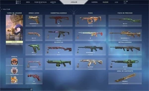 Conta VALORANT AC2 com varias skin
