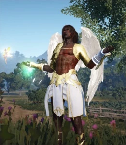 CONTA BDO SA ARCHER 272/284 PA COM EMAIL - Black Desert