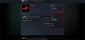 CONTA OLD STEAM 16 ANOS MEDALHAS 5 E 10 ANOS +6 JOGOS - Counter Strike CS