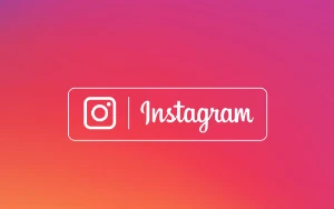 Seguidores do Instagram com reposição automática de 365 - Redes Sociais