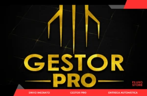 🔥📂Gestor Pro Completo + Manual De Instalação + Atualização