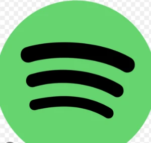 Spotify Premium Individual / Entrega Em Até 24H - Assinaturas e Premium