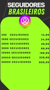 Seguidores Brasileiros Do Instagram - Outros