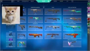 CONTA VALORANT CHEIA DE SKINS BARATA