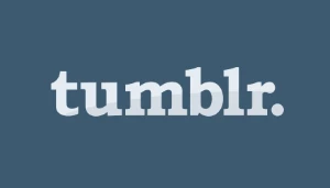 2015-2016 Personal Tumblr Aged accounts + Fast delivery