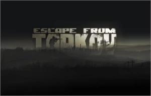 1 Milhão De Rublos Escape From Tarkov - Outros