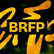 Brfp: Patch Ea Sports Fc 25 Com Brasileirão Atualizado - FIFA